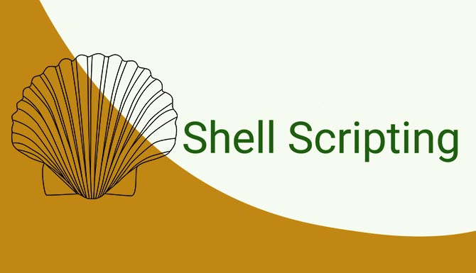 Shell Scripting training